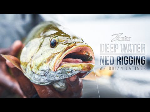 DEEPWATER Ned Rig