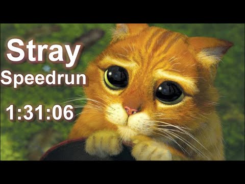 『浪貓 Stray』Speedrun 1:31:06