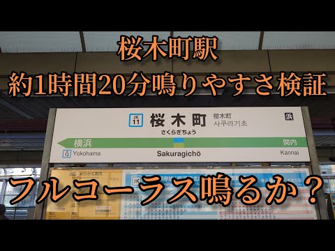 【フルコーラス鳴るか？】桜木町駅で約1時間20分鳴りやすさ検証してみた結果  第22弾