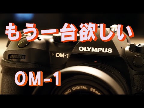 オリンパスOM-1、E-M1X、E-M1MarkIIIの録音比較　2台目のOM-1が欲しくなった　Cocoroa通信その86