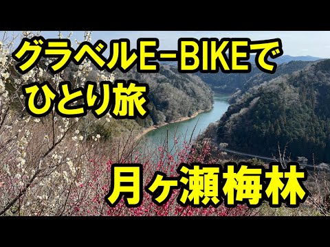 【ROADREXi6180】サイクリング歴40年にして、初めてのトラブルに遭遇。グラベルE-BIKEで、ひとり旅。満開の梅を観に、月ヶ瀬梅林にサイクリング。夜は伊賀牛専門店で、一人焼肉。