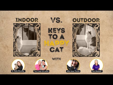 Indoor Cats & Outdoor Cats - Keys To A Happy Cat | Round Table Event | Two Crazy Cat Ladies