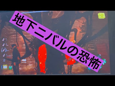 【悲惨】余裕だったのに地下ニバルは逃げてね#38【DBD】