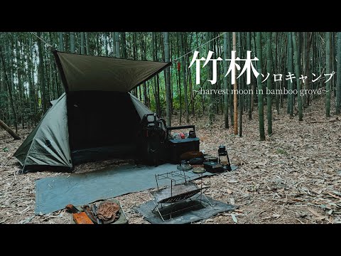 竹林で十五夜ソロキャンプ|バックパック装備重量10kg以下|MINIMALIST CAMPING GEAR|Shinto Philosophy