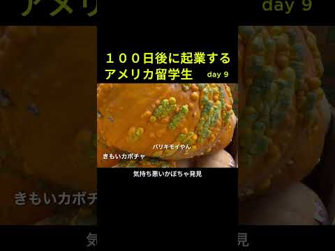 【DAY9】１００日後に起業するアメリカ留学生の１日 #コミカレ留学 #海外留学 #アメリカ留学生 #留学 #海外留学生活