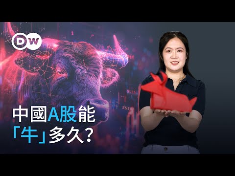 中國A股能「牛」多久？|DW一看你就懂