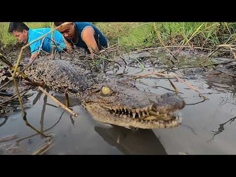 Catching Fish Along the River 3 Youth Almost Was Eaten By Water Monsters | Hunting Giant Fish