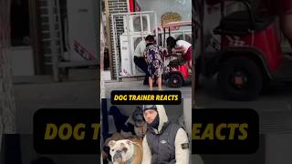 ⚠️ TRIGGER WARNING ⚠️ DOG TRAINER REACTS ⚠️ - dog fight in street goes wrong #dog  #reaction