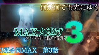 Max3頭合同計画.3　究極編　大逃げMax　オルコックアラビアン　スターホースプログレスR　ふじまるゲーム　ゲーセン動画　競馬ゲーム