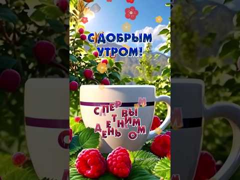 С добрым утром и с первым днём лета! #доброеутро #1июня