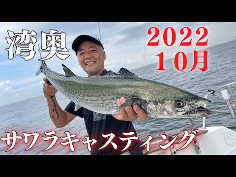 【２０２２年東京湾】湾奥アクアラインでサワラキャスティング！メタルマジックでヒット！　#サワラ　#サワラキャスティング　#ブレードジグ