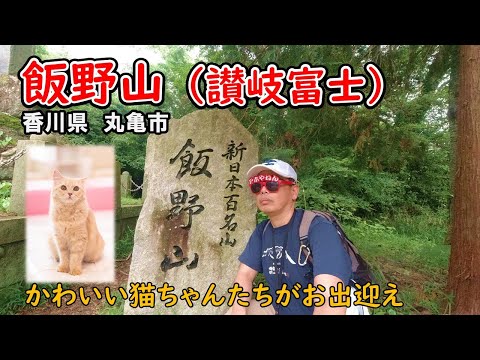 猫天国の山！この山を造った巨人伝説を解説します【飯野山】