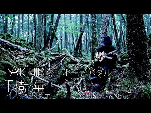 【生演奏】AKIHIDE × ループペダル #1.「樹海」