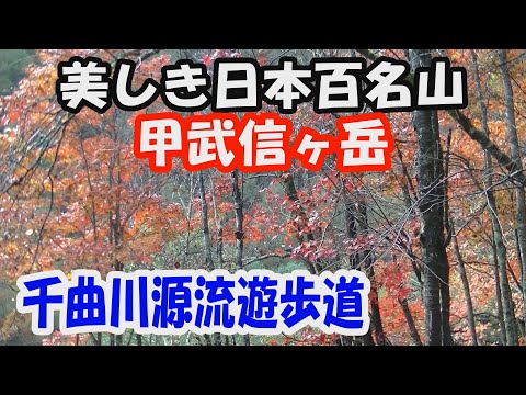 【甲武信ヶ岳】美しき日本百名山。千曲川源流遊歩道。天候に恵まれ、大展望の山頂へ。