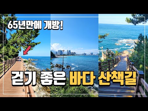 65년만에 개방! 걷기 좋은 바다 산책길 | 바다향이 가득한 아름다운 길 | 무료로 즐기는 바다 둘레길 트래킹 코스 | 당일치기 여행 | 국내여행