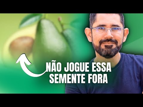 A Semente do Abacate: UMA FARMÁCIA VIVA APENAS EM 1 SEMENTE!