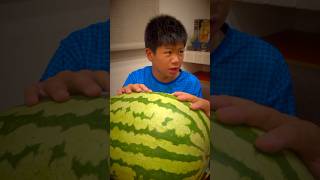 大きなスイカを恐竜の卵と言い張る親子🤣🍉😱 #shorts #スイカ #watermelon