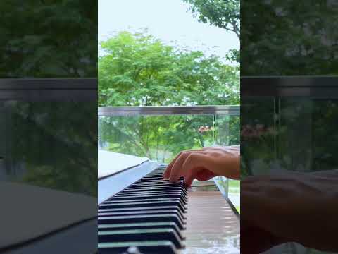 鋼琴曲Piano Music 凤飞飞《追夢人》[ 让青春吹动了你的长发 让它牵引你的梦 ] #凤飞飞追梦人#shorts #pianomusic ▏夜色鋼琴曲Night Piano