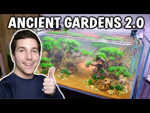 MINI ANCIENT GARDENS PLANTED AQUARIUM SETUP / TUTORIAL | AQUAPROS |