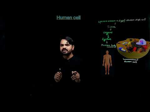 #Cell and it's structure||#Anatomy||Human biology||#मानव  कोशिका ||unit of body||#brainpowermania