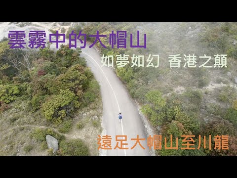 雲霧中的大帽山 Foggy Tai Mo Shan - 如夢如幻 Fantastic view - 遠足大帽山至川龍 - ｛山野篇 Hong Kong Hiking｝