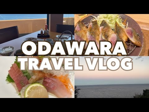 【プチ旅行VLOG・小田原】おすすめ温泉宿紹介！ /  テレビでも話題の人気店でランチ / 親子旅行