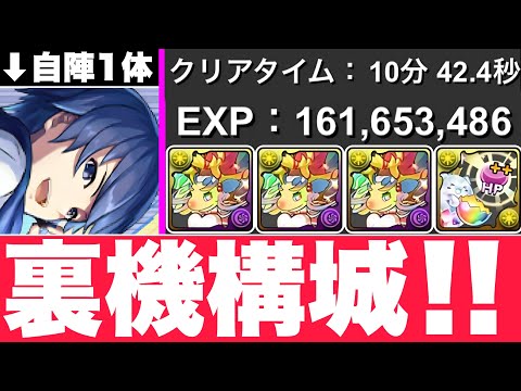 【裏機構城ソロ】1周1.6億KAITOずらし編成！1.5倍イベ中時速13億EXP超え！ノエル/HP++潜在も一緒に確保！【パズドラ】