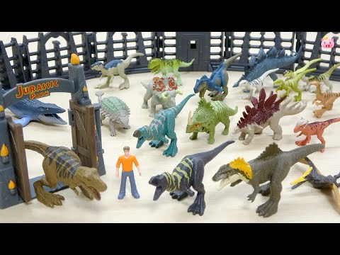 It also includes new colored dinosaurs!Jurassic World CHAOS THEORY 2024 Dinosaur Advent Calendar