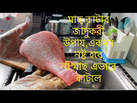 সিঙ্গাপুরের মাছের বাজারের মত মাছ কাটলাম