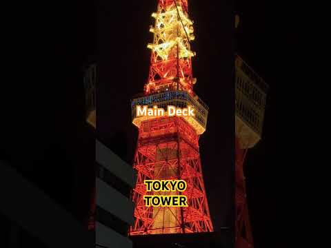 東京タワー🗼　#tokyo#tokyotower#tokyosymbol#tokyotrip#tower#nightview#photozone