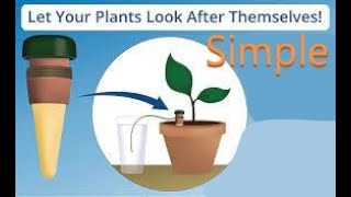 Plant self watering system by Blumat. Vacation, trips, everyday