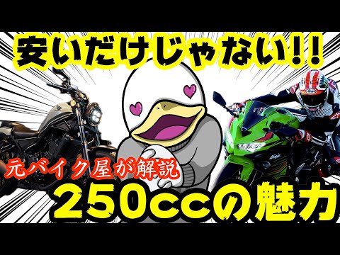 400&大型と比較‼︎元バイク屋が250ccバイクの魅力を語る！