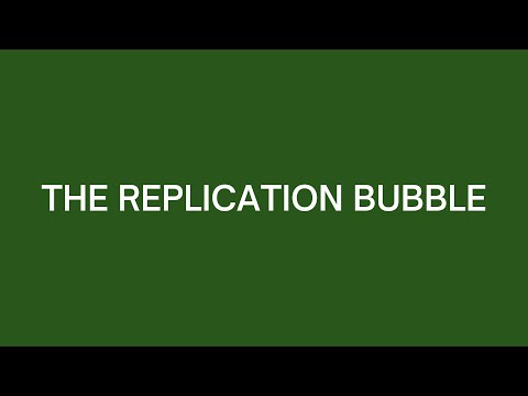 The Replication Bubble