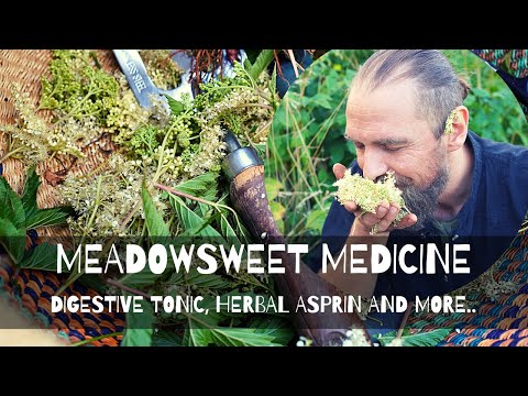 Meadowsweet Medicine