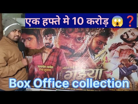 गुइयाँ फिल्म ने कितने पैसे कमाए ❓ Guiyan movie box office collection ‼️ Amlesh nagesh guiyan movie