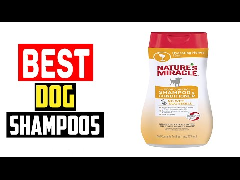 ✅Top 5 Best Dog Shampoos 2024