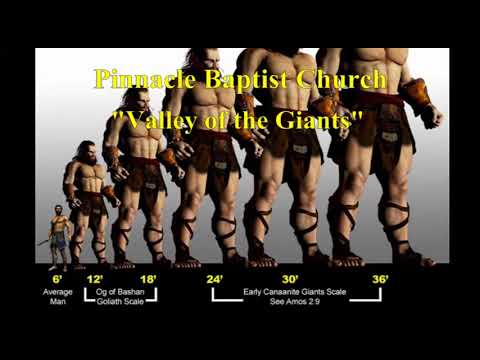 PBC Valley of the Giants (Reloaded)