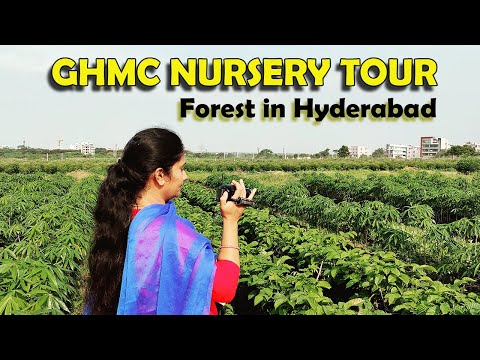 Tellapur Hyderabad GHMC Urban Forestry Nursery Tour | తెలంగాణాకు హరితహారం ఒక అద్భుతం | Harithahaaram