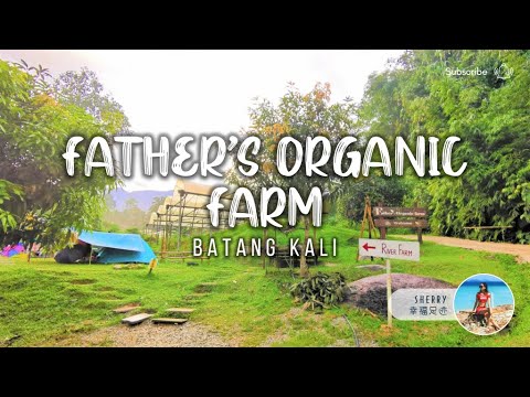 Father's Organic Farm @ Batang Kali Camping 亲子露营 🏕️