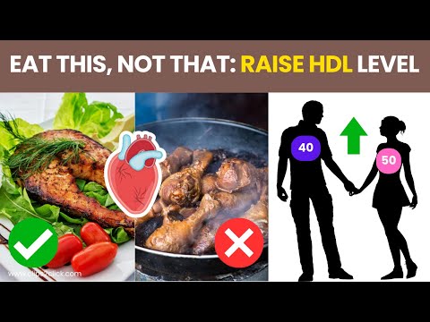 How to Increase HDL Cholesterol Naturally - Top 8 Foods that Boost "Good" Cholesterol