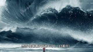 有明海：九州最大的海灣