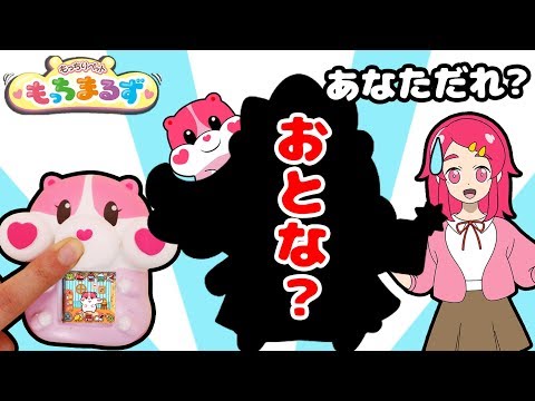 【もっちまるずのお世話は大変！】ハムスター赤ちゃんペットがおとなに成長！？第３弾！ ゲーム スクイーズ感覚 ❤️アンリルちゃんねる❤️おもちゃアニメ