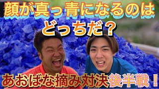 【滋賀県】あおばな摘みでガチ対決🔥罰ゲームで顔が真っ青になるのはどっちだ⁉︎