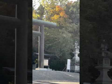 Massive outbreaks of snow bugs-雪虫大量発生で神社撮影できません。。 #hokkaido #japan #jinja #shrine