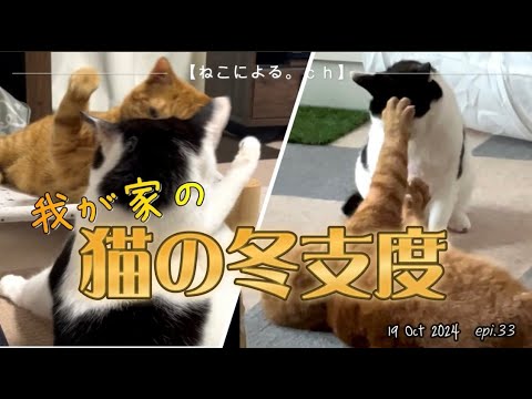 猫の冬支度【ねこによる。ｃｈ】epi.33　冬支度｜猫のこたつ｜元野良猫｜猫飼い初心者の共同生活記録