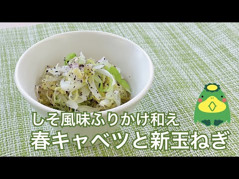 【春キャベツと新玉ねぎのしそ風味】かんたん副菜、さっぱりおいしい