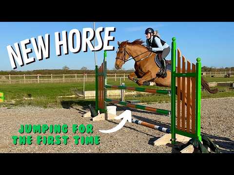 JUMP MY NEW HORSE WITH ME