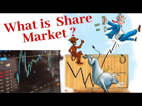 Beginners guide to Stock Market or Share Market. What is a stock exchange and how does it works ?