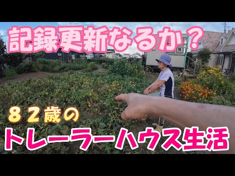 【トレーラーハウス生活】今年は記録更新するのか　#344