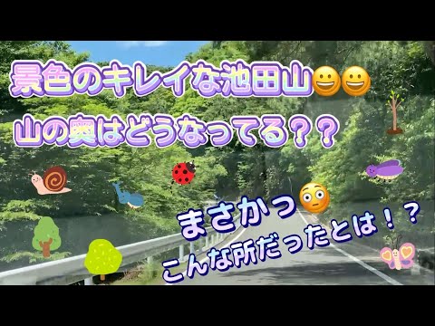 【まさかっ😳】景色のキレイな池田山！！山の奥の道を進むと、何があるんだろうっ？？　何も調べずに行ったら、大変な事になった！！